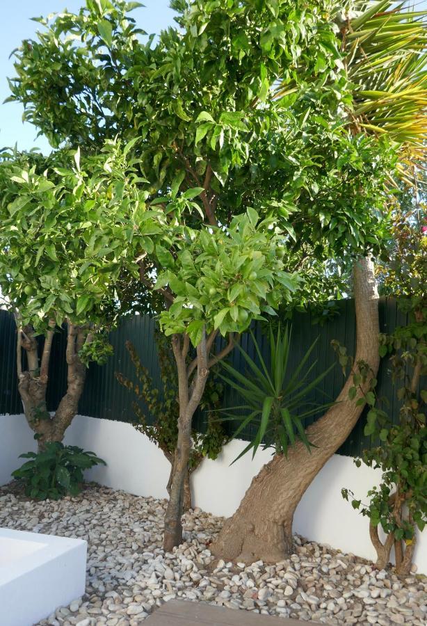Villa A Sul Albufeira Buitenkant foto